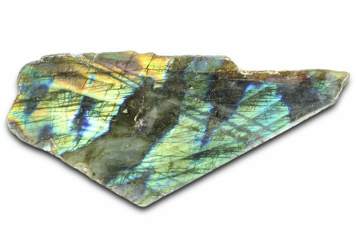 Single Side Polished Labradorite Section - Madagascar #364274